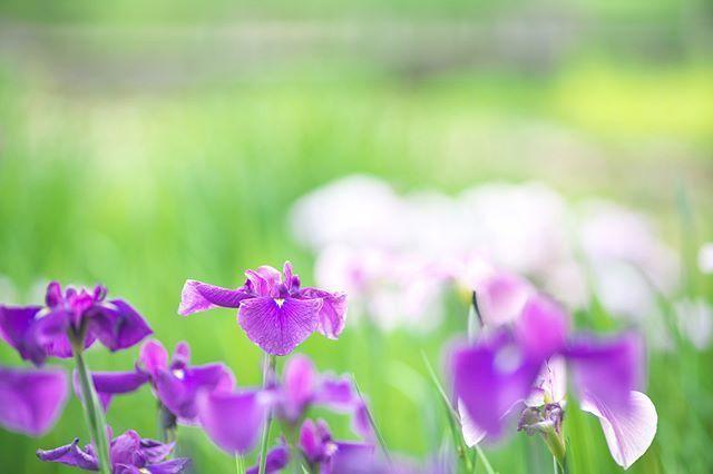 2018΢ź侫ģÿһ䶼ϲg